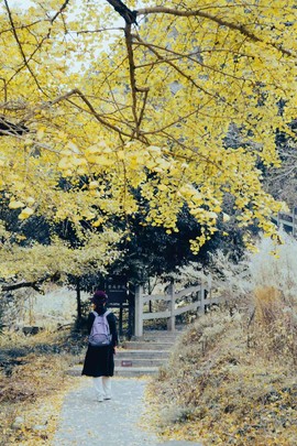 微信图片_20241127174311