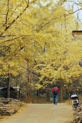 微信图片_20241127174312