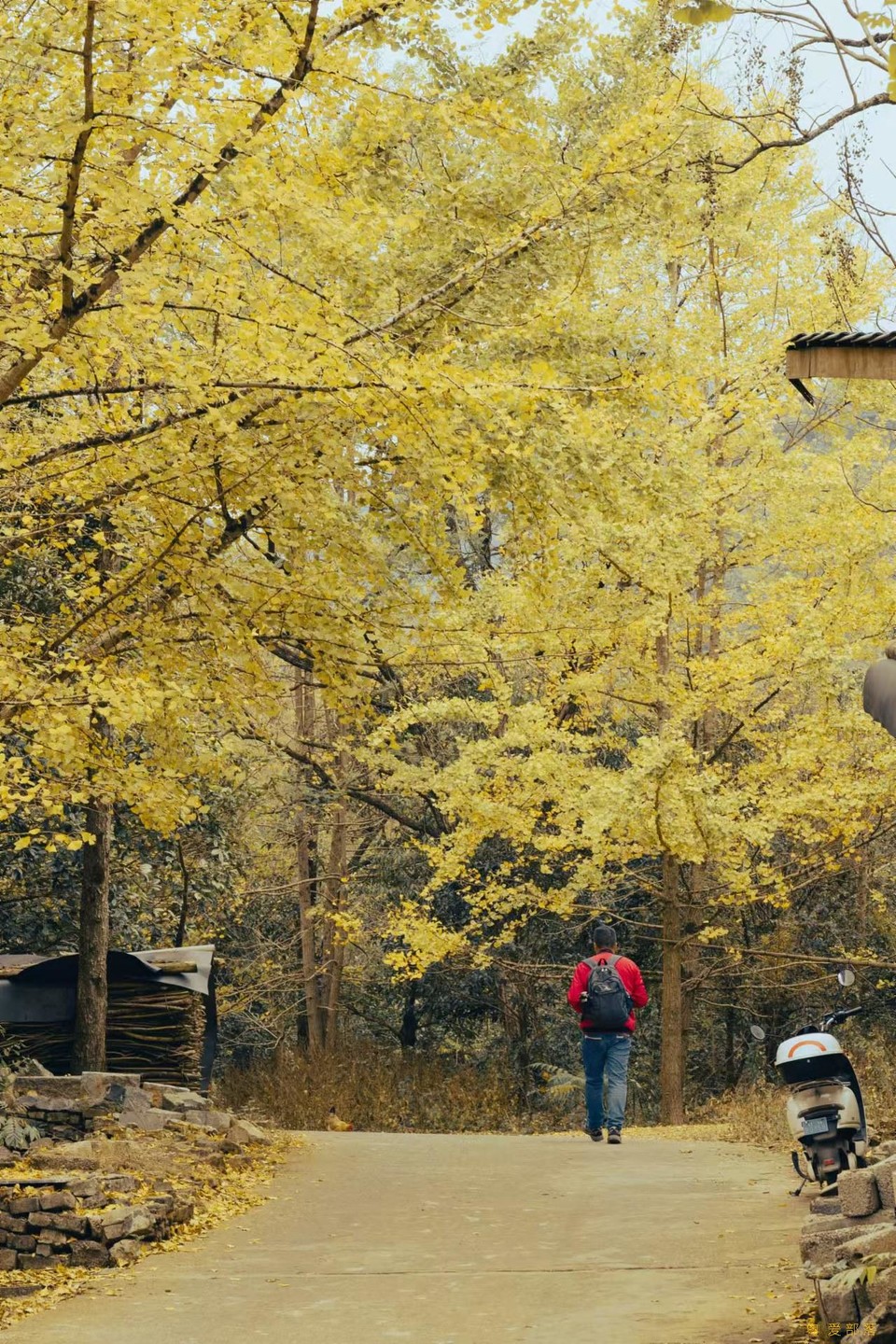 微信图片_20241127174312