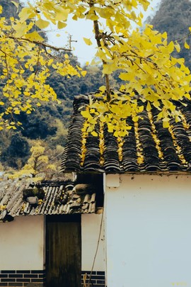 微信图片_20241127174314