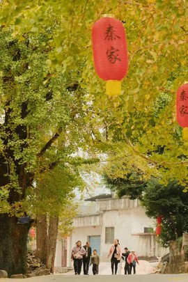 微信图片_202411271742531