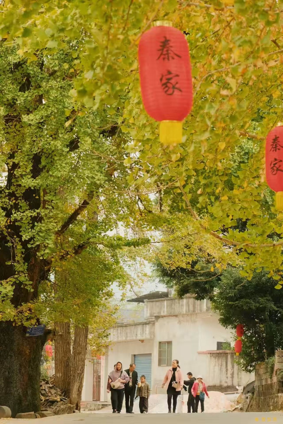 微信图片_202411271742531