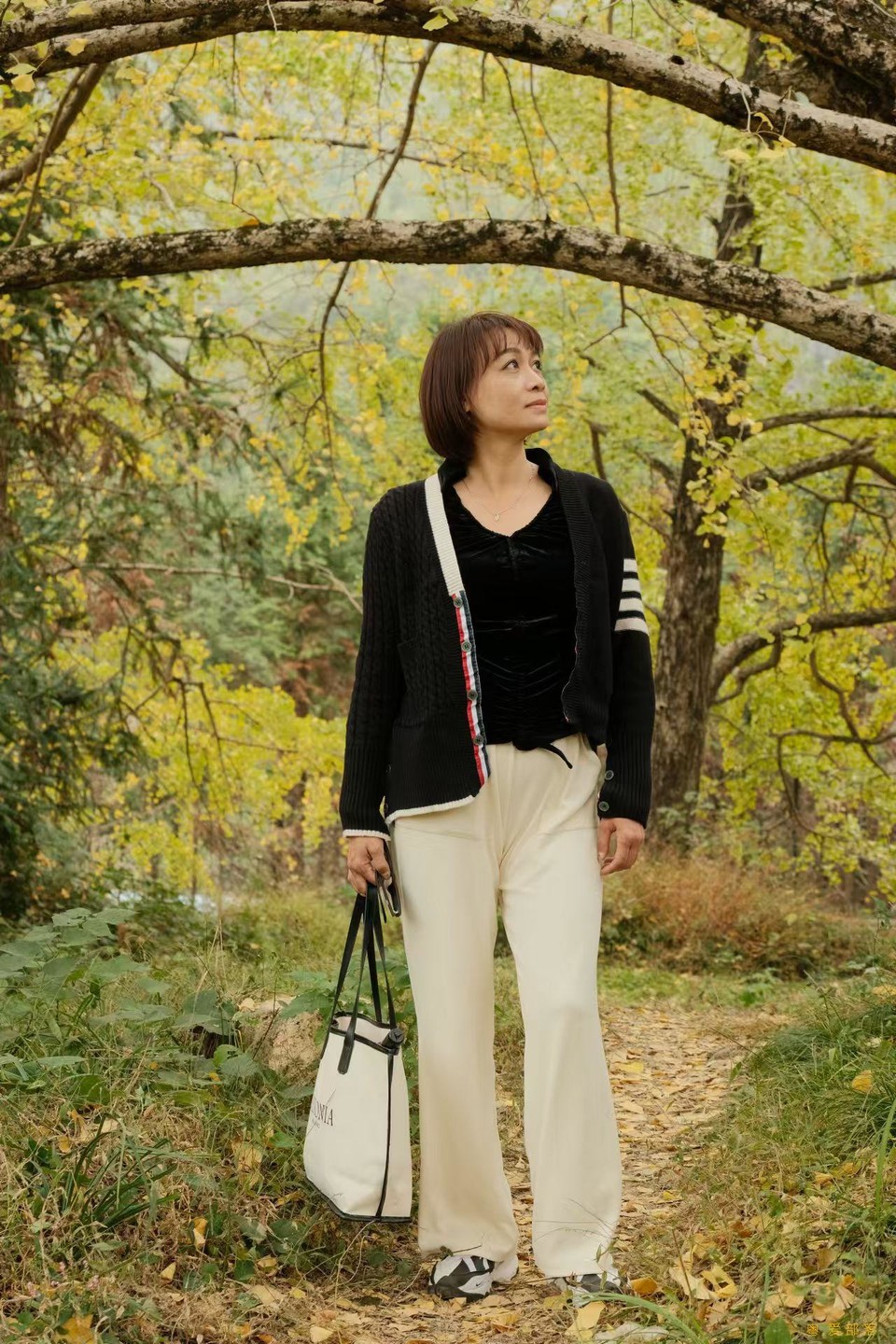 微信图片_202411271742591