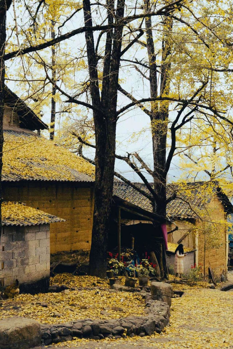 微信图片_202411271743041