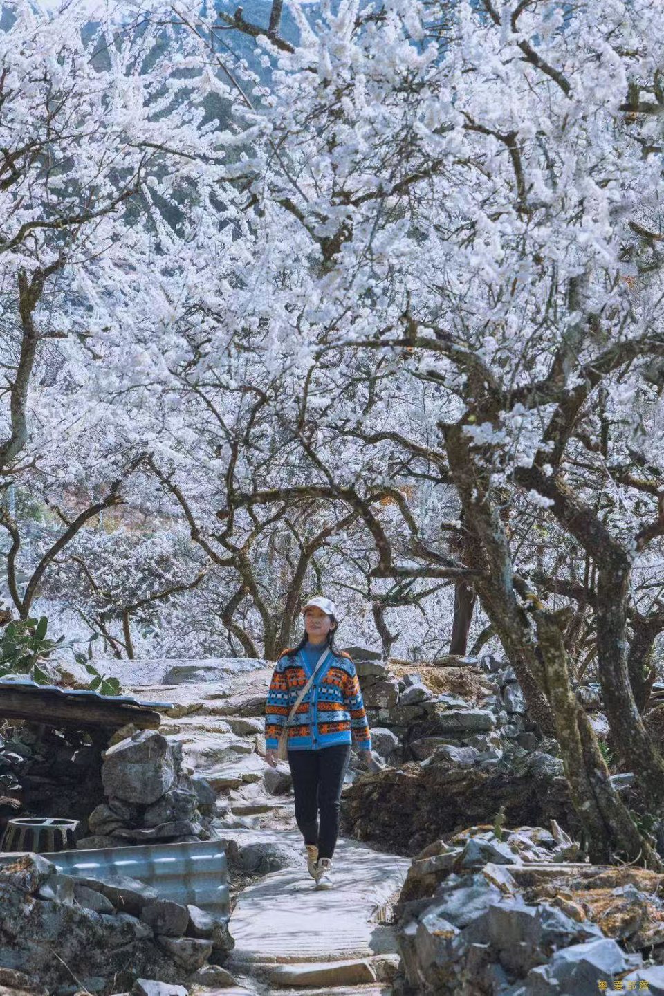 67443f0f7ec0c1ab6fdb835888bbdad