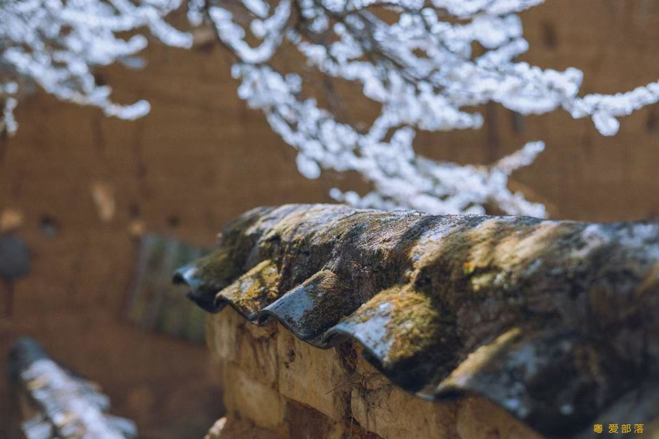 3a46b29490b0d217282e52ddf0721a5