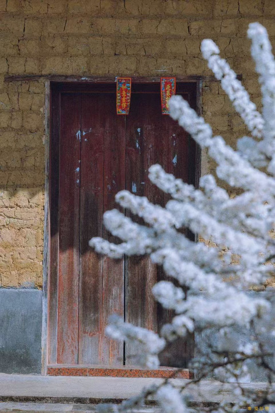 2e48a1dd32e9809fc005bfe4e9315b7