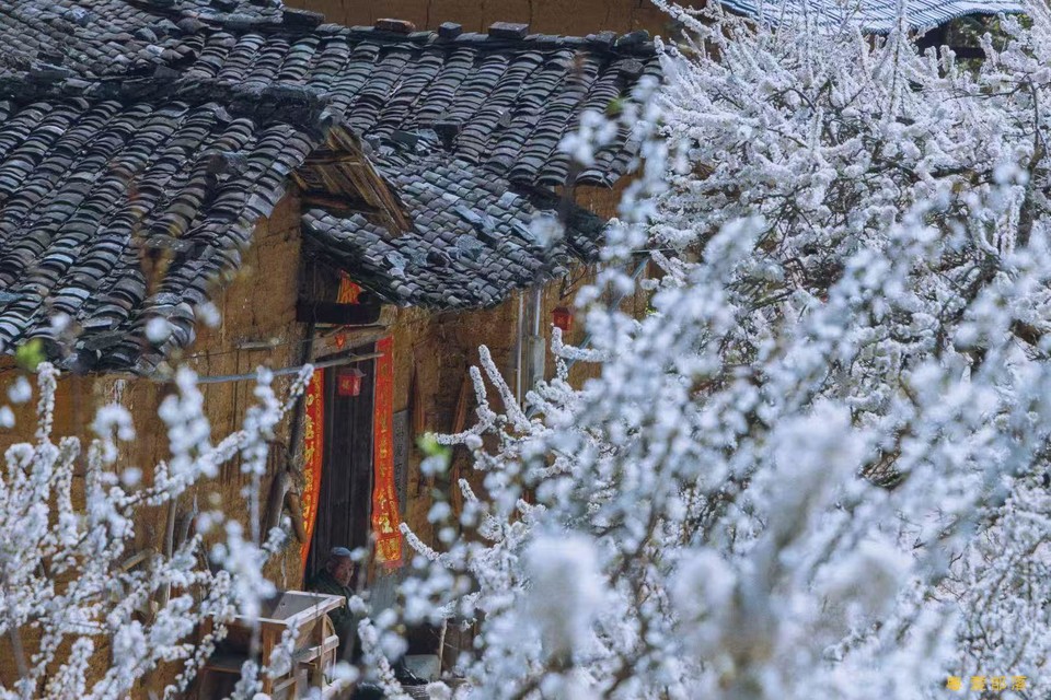 b84fe59f03663751efe4ae184c8515b