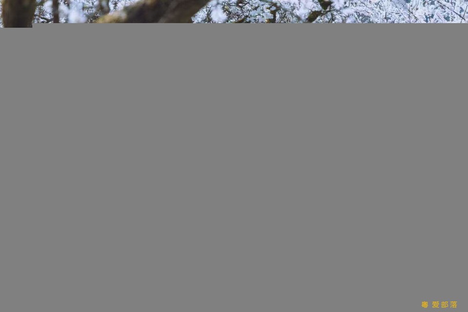 ed7dafc11d338234c1e7e80b6591260