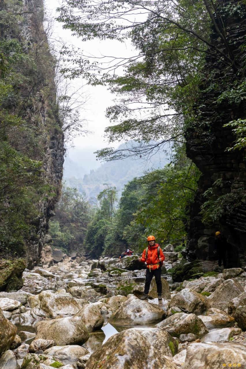 微信图片_20250304120122