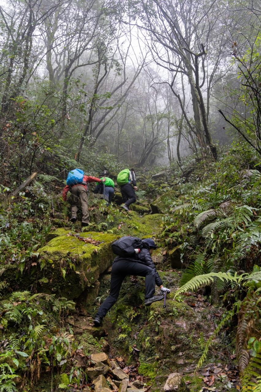 微信图片_20250304120124