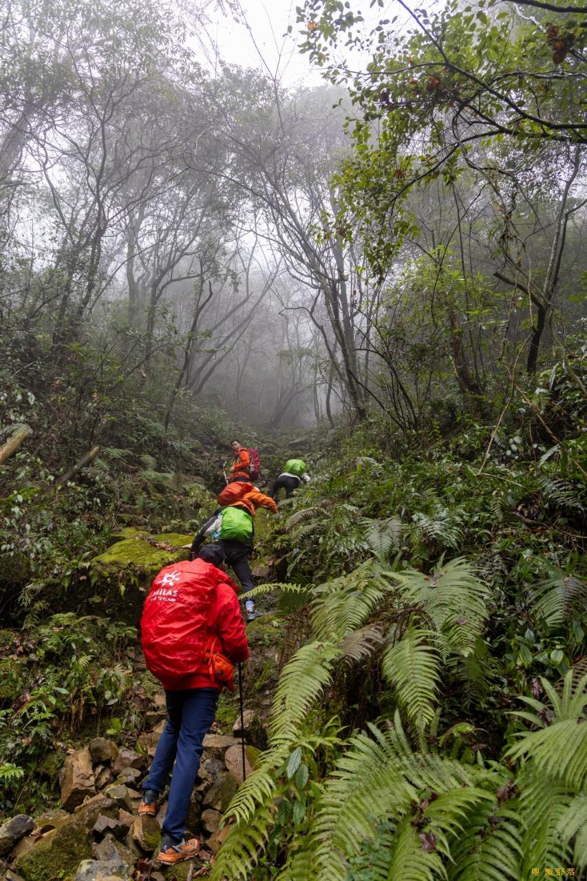 微信图片_20250304120128