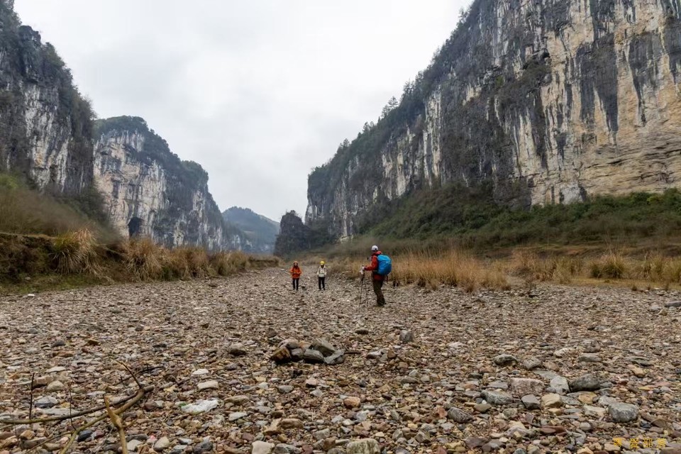 微信图片_20250304120130