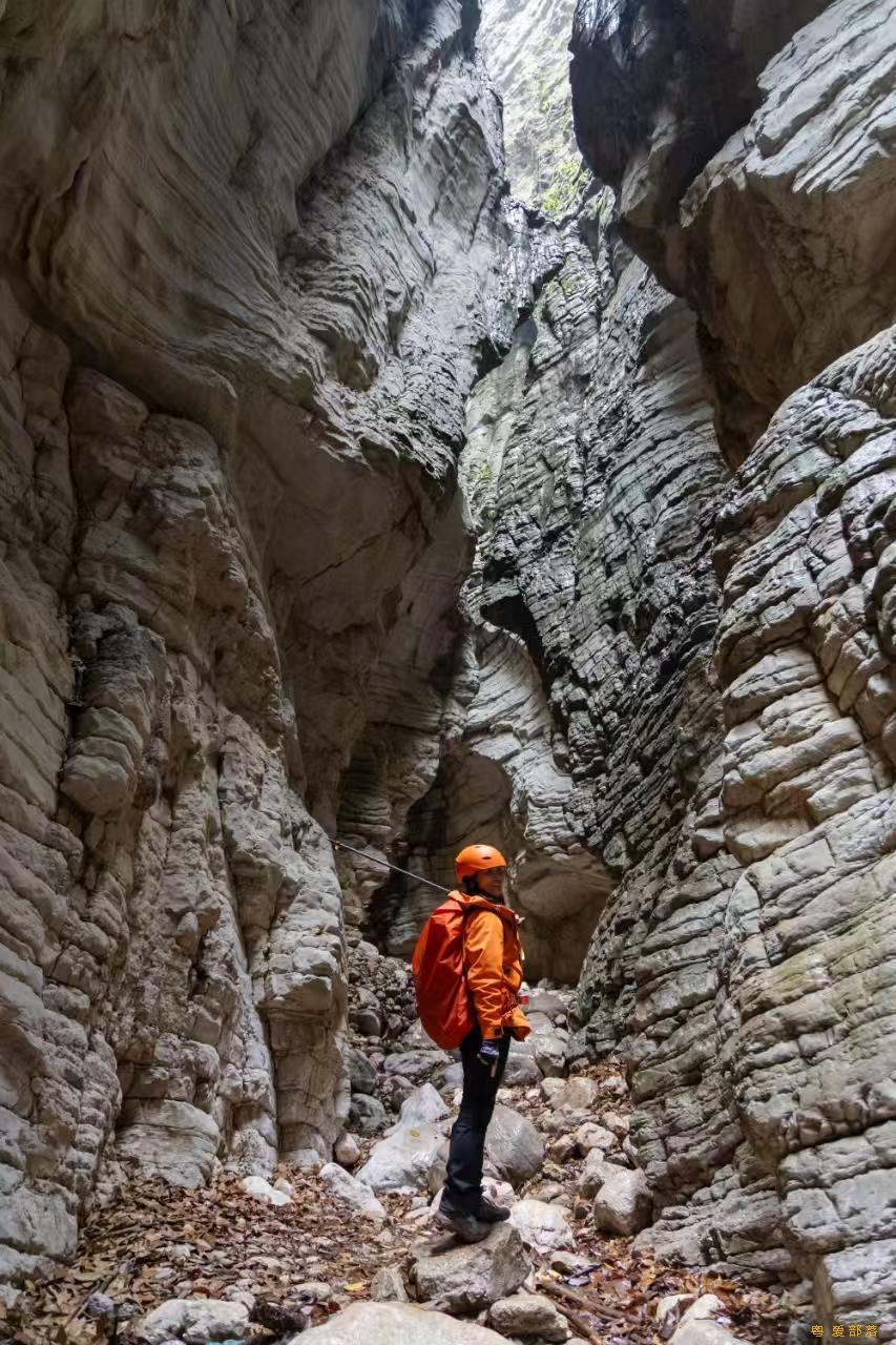 微信图片_20250304120131