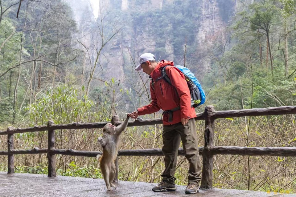 微信图片_202503041201201