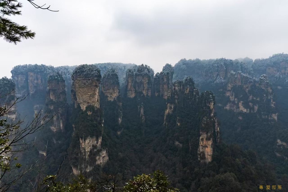 微信图片_202503041201202