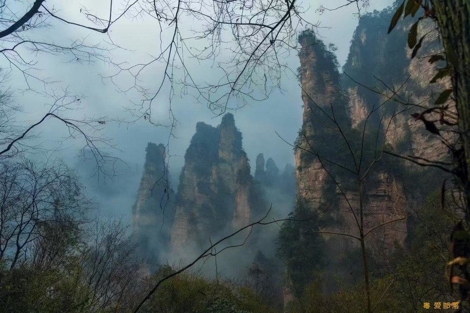 微信图片_202503041201252