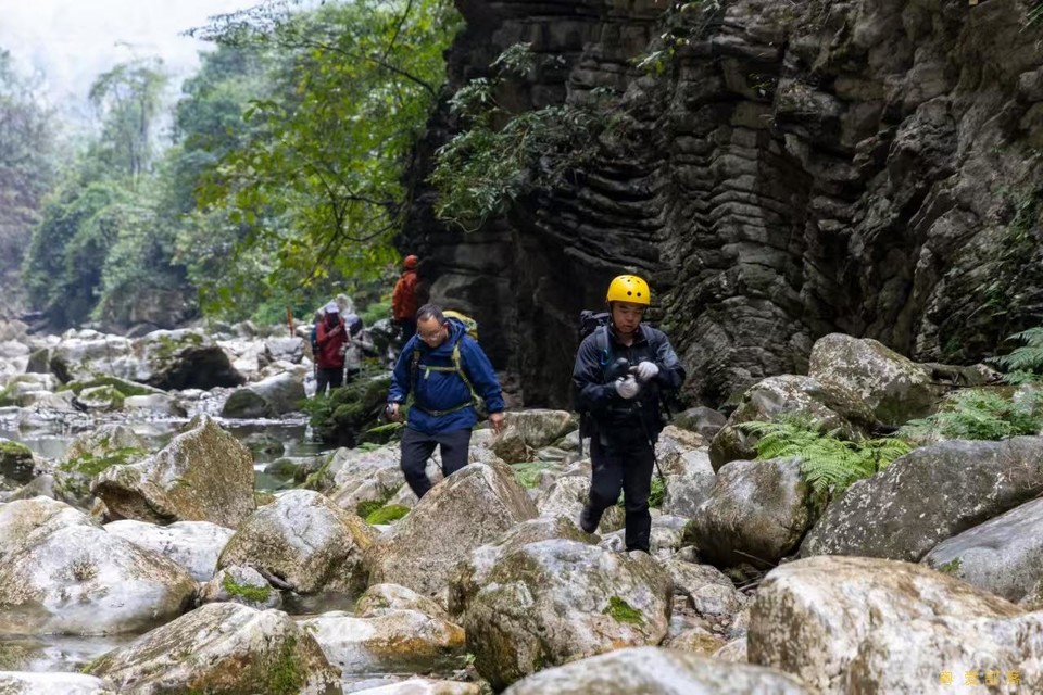 微信图片_202503041201281