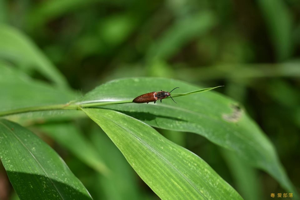 微信图片_20250611104244