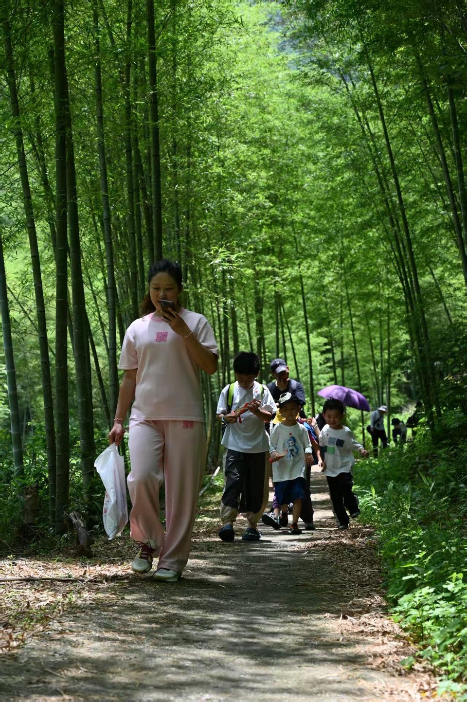 微信图片_20250611104249