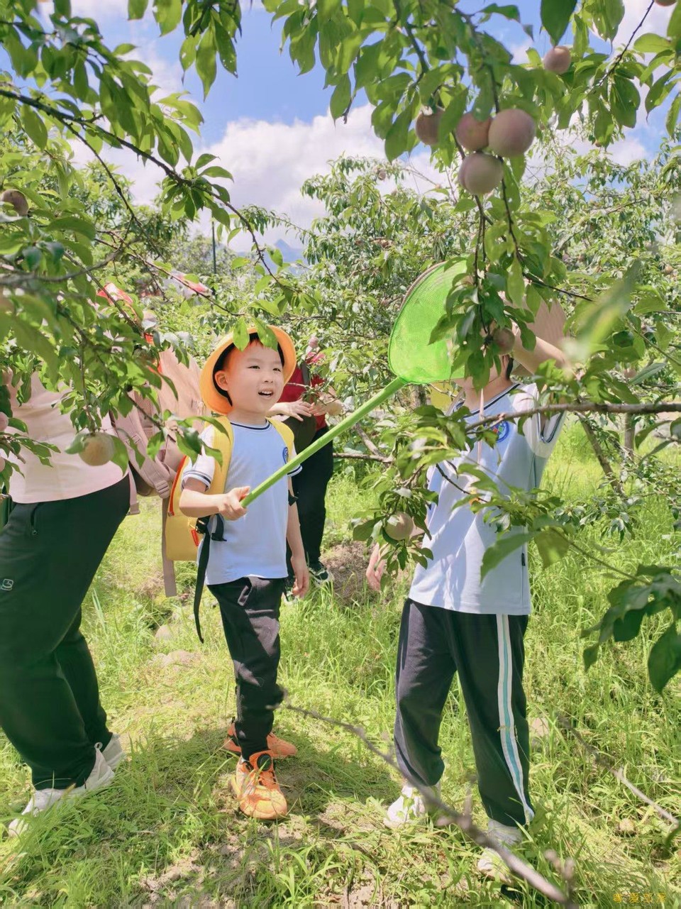 微信图片_20250611104256