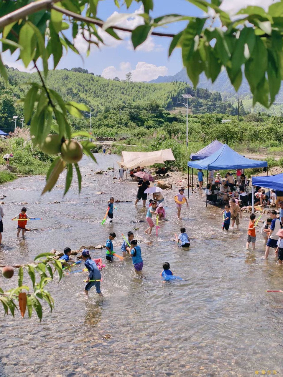 微信图片_20250611104258