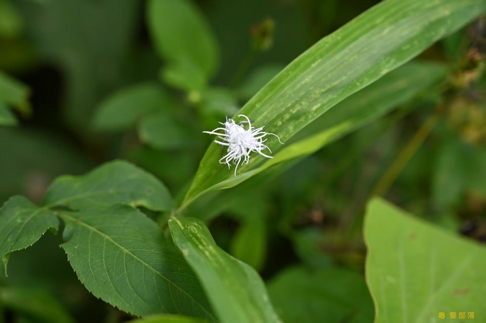 微信图片_202506111042441