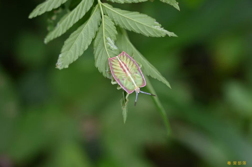 微信图片_202506111042451