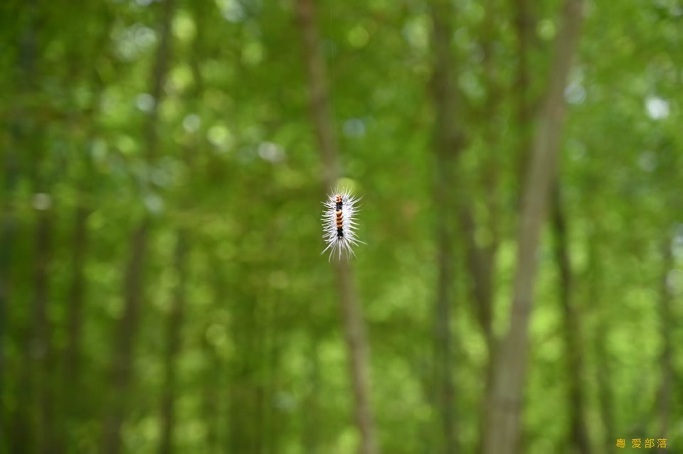 微信图片_202506111042472