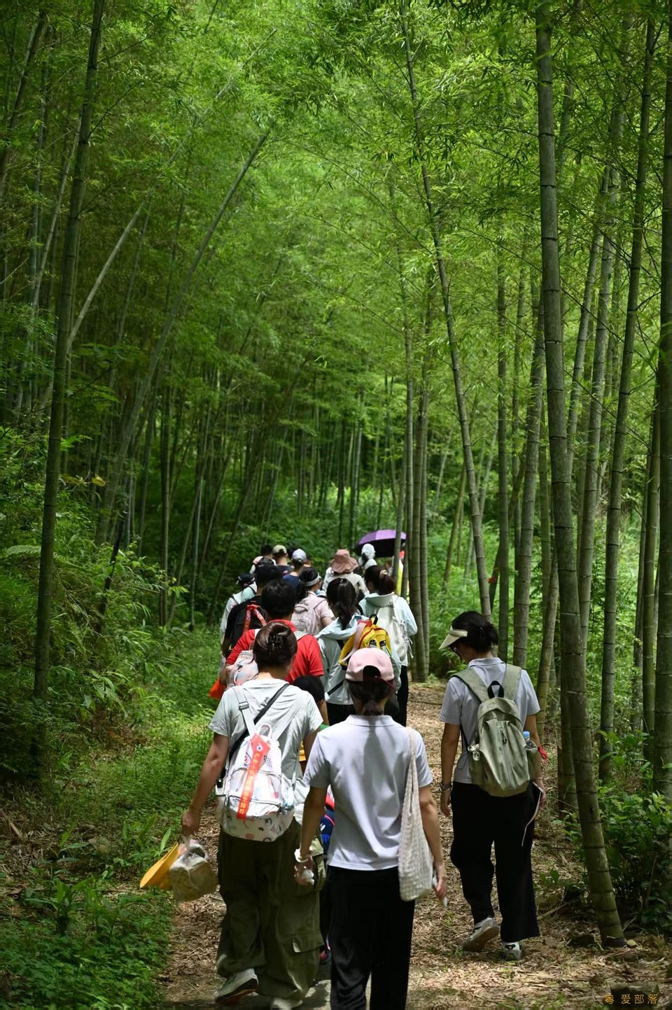 微信图片_202506111042491