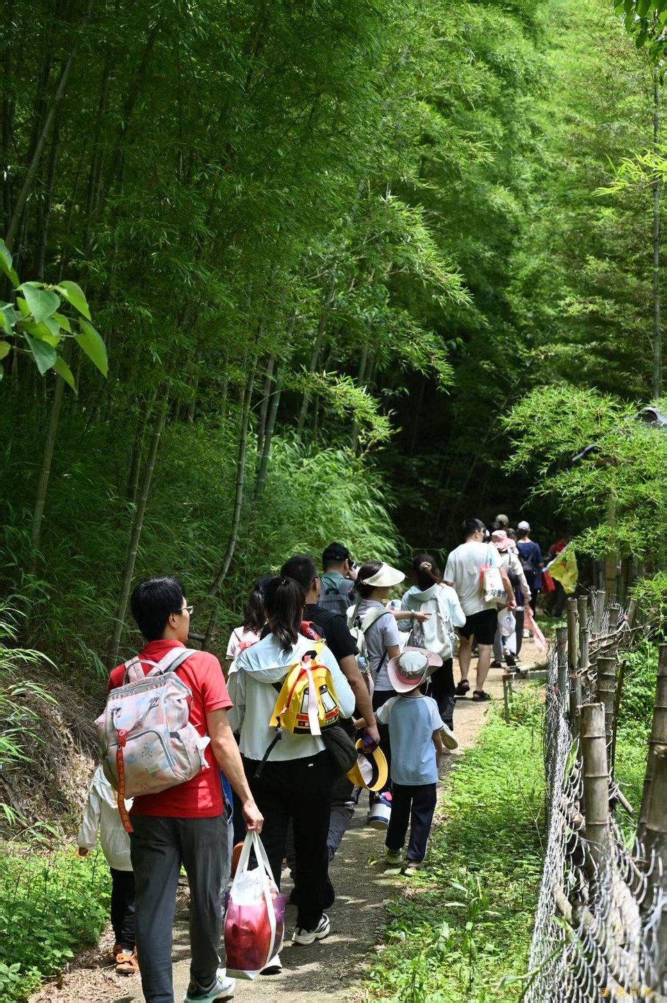 微信图片_202506111042501