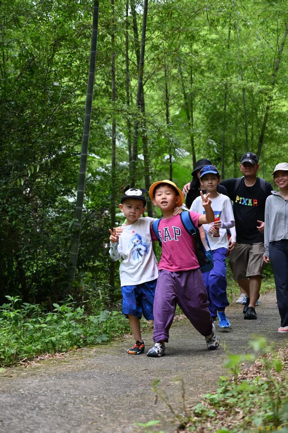 微信图片_202506111042511