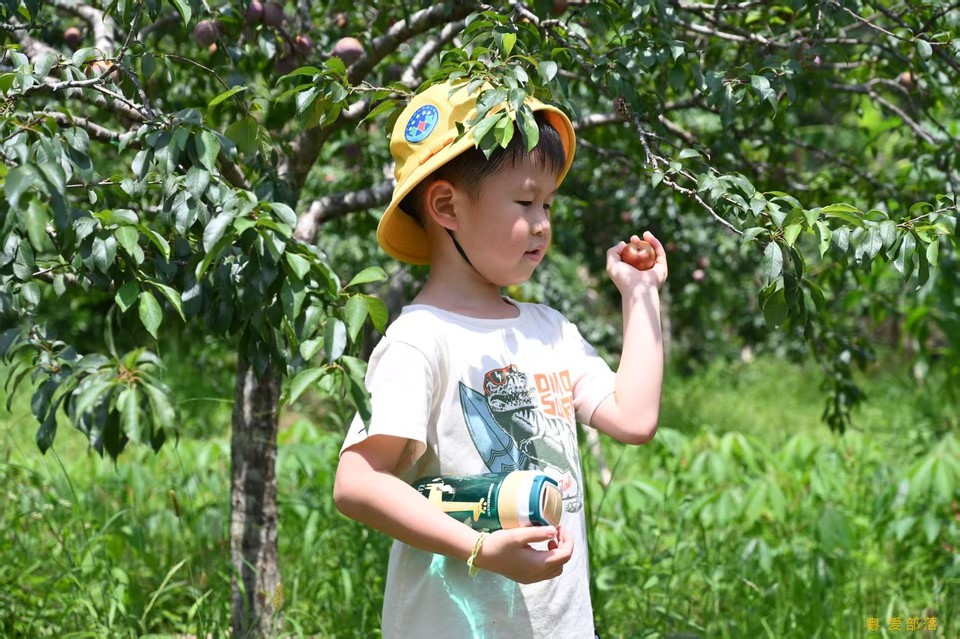 微信图片_202506111042521