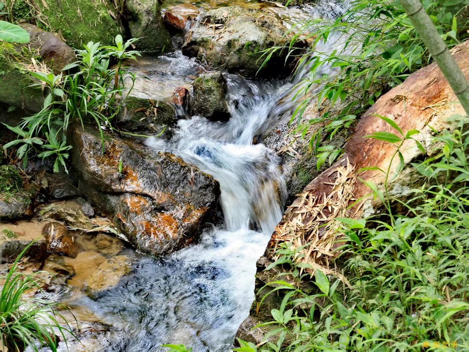 微信图片_202506111042541