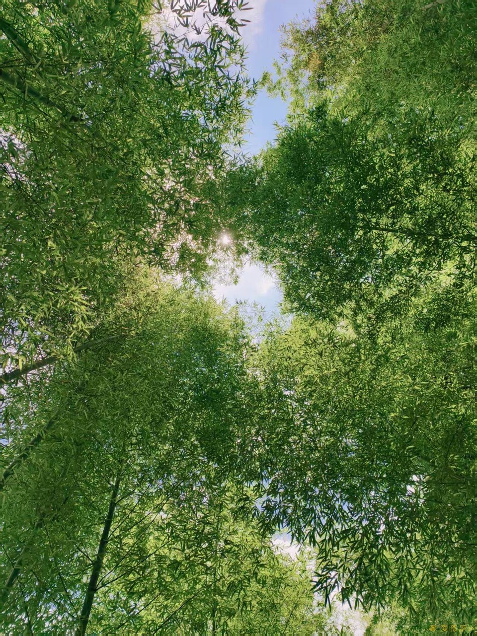 微信图片_202506111042551