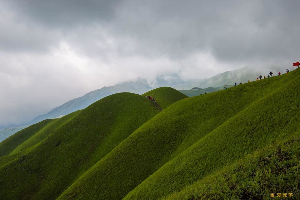 微信图片_20250611104917