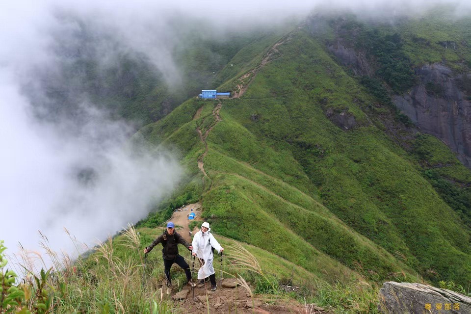 微信图片_20250611104918