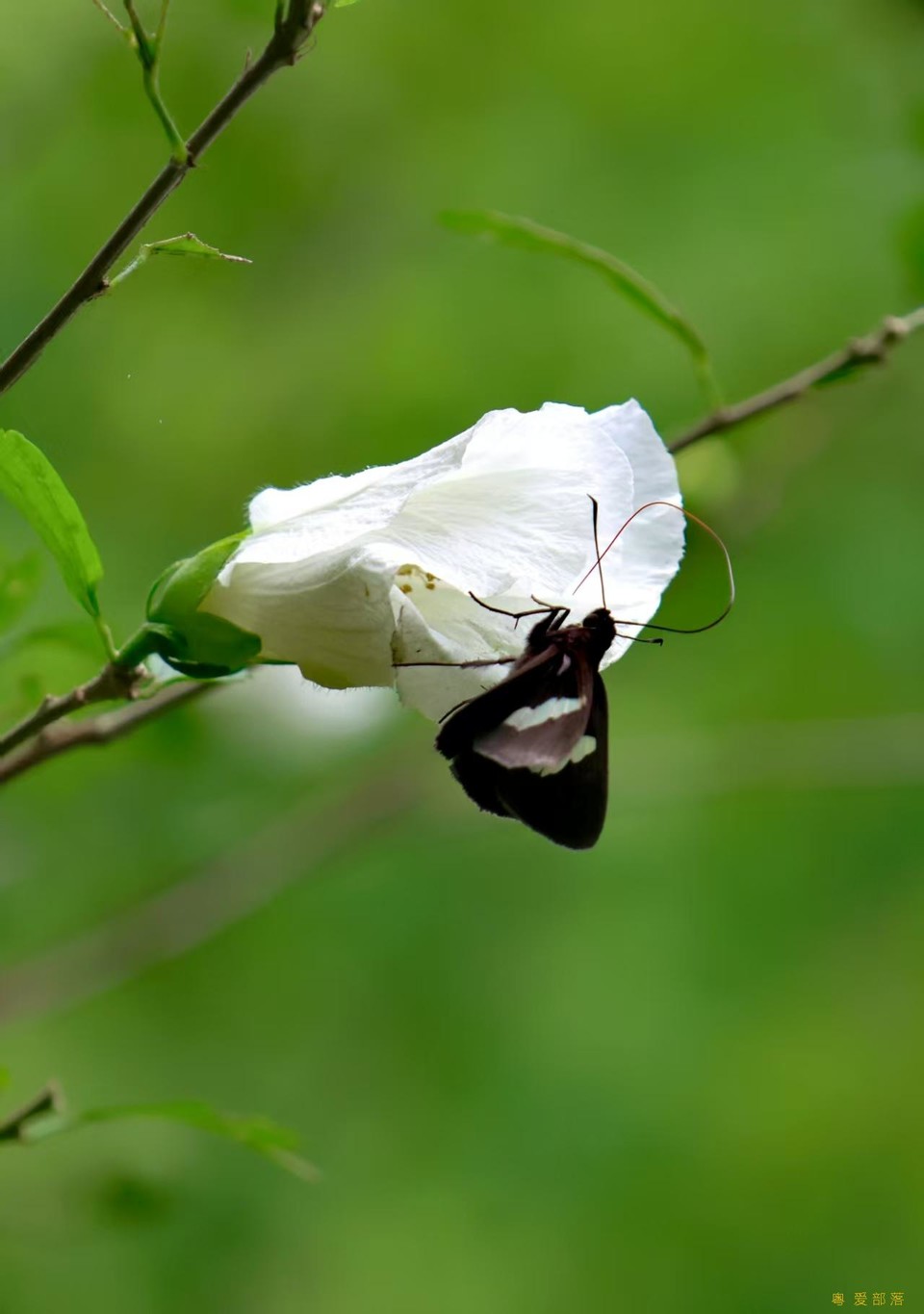 微信图片_20250611104919