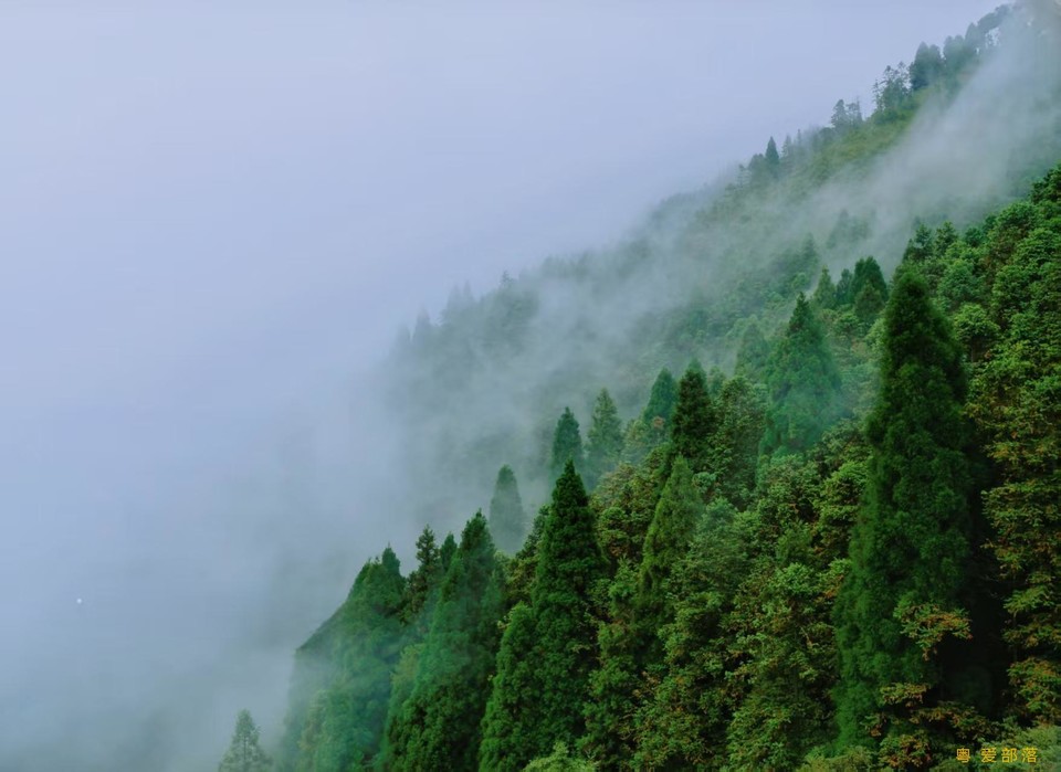 微信图片_20250611104920