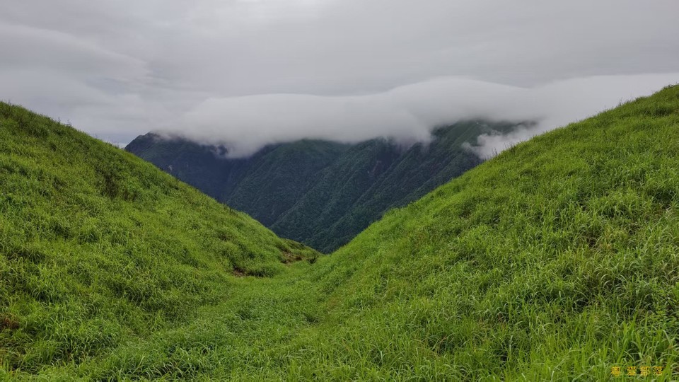 微信图片_20250611104924