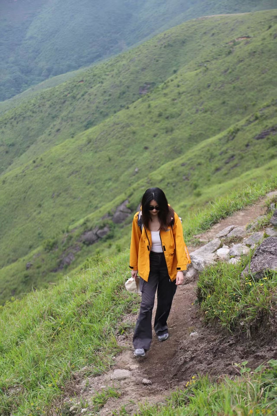 微信图片_20250611105426