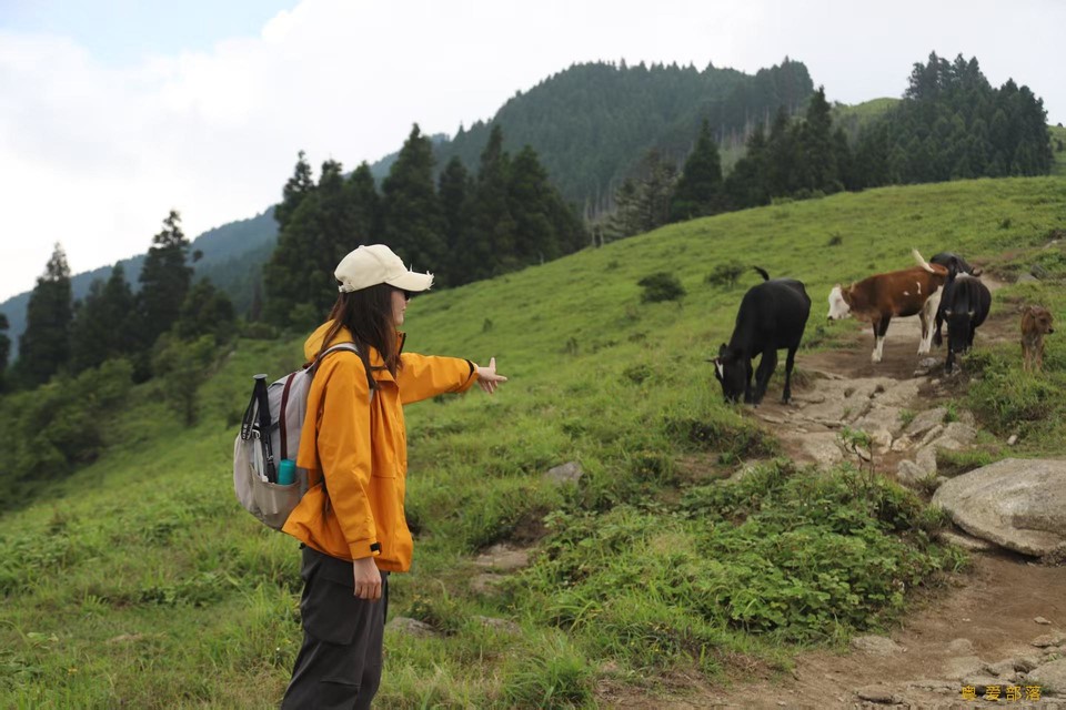 微信图片_20250611105427