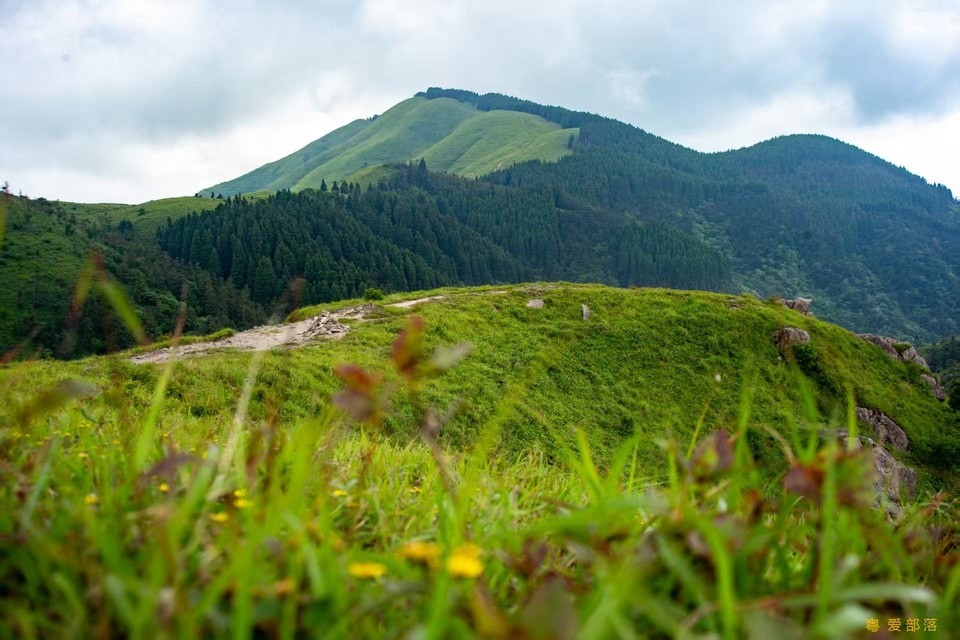 微信图片_20250611105430