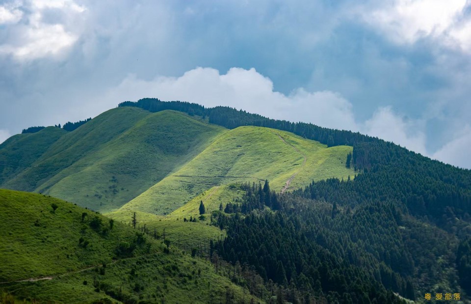 微信图片_20250611105431