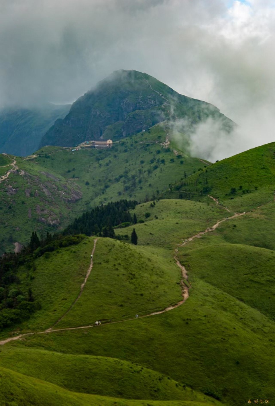 微信图片_20250611105432