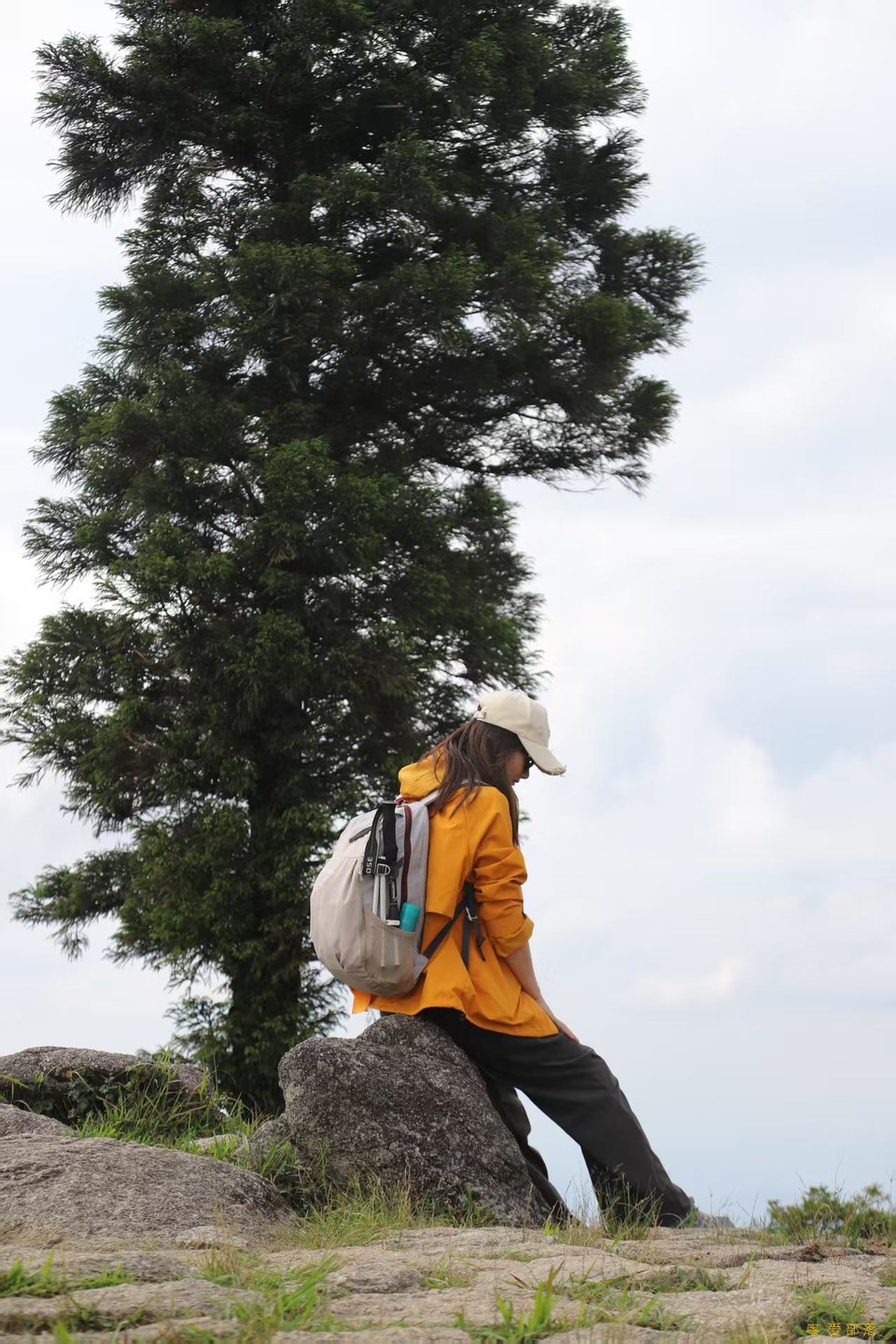 微信图片_20250611105442