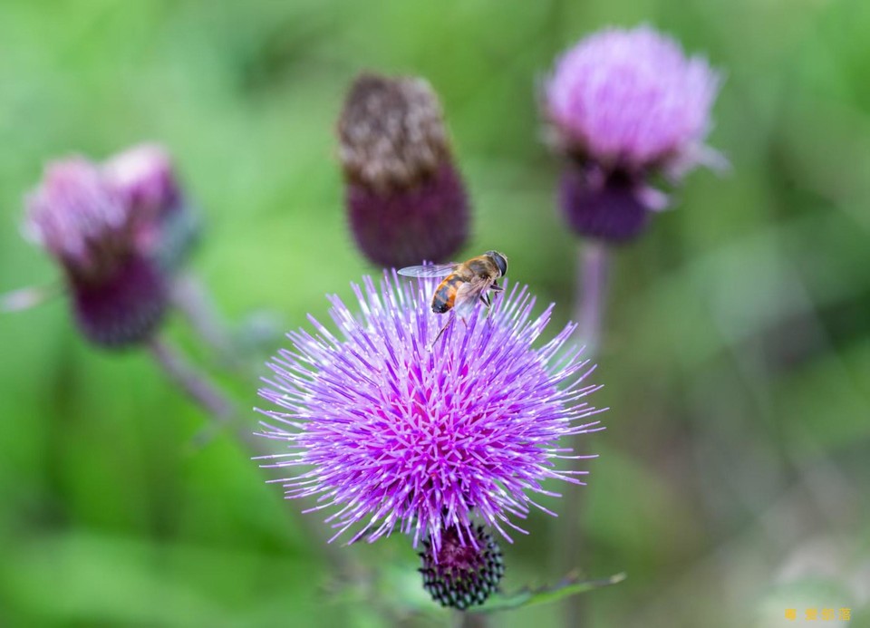 微信图片_20250611105443