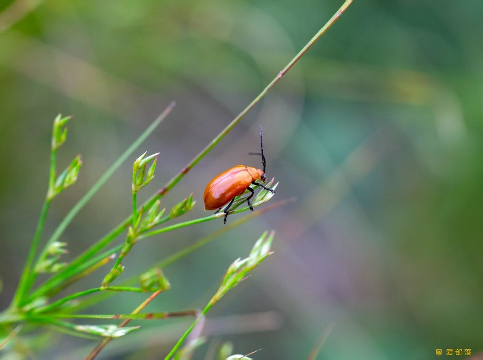 微信图片_20250611105445