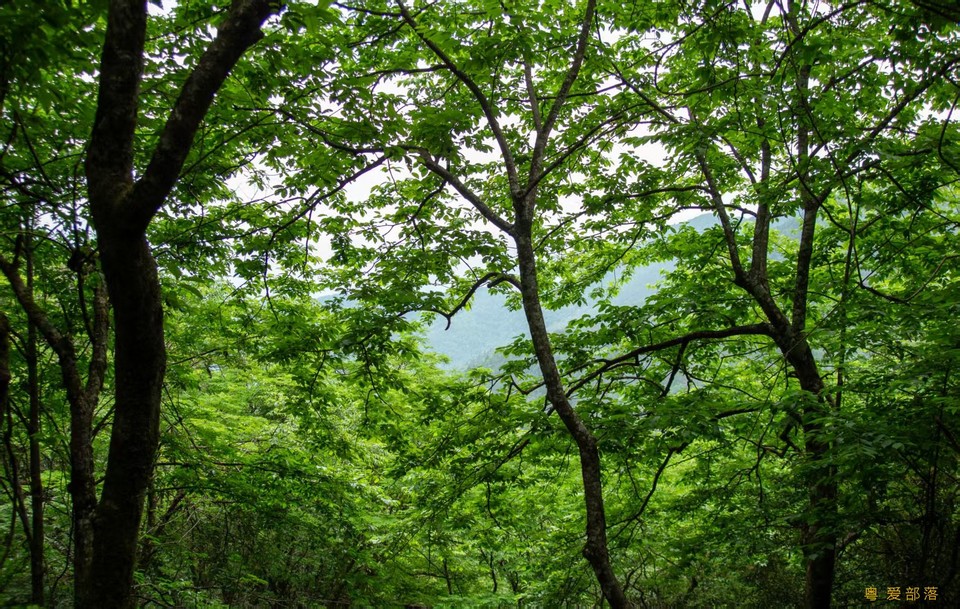 微信图片_20250611105446