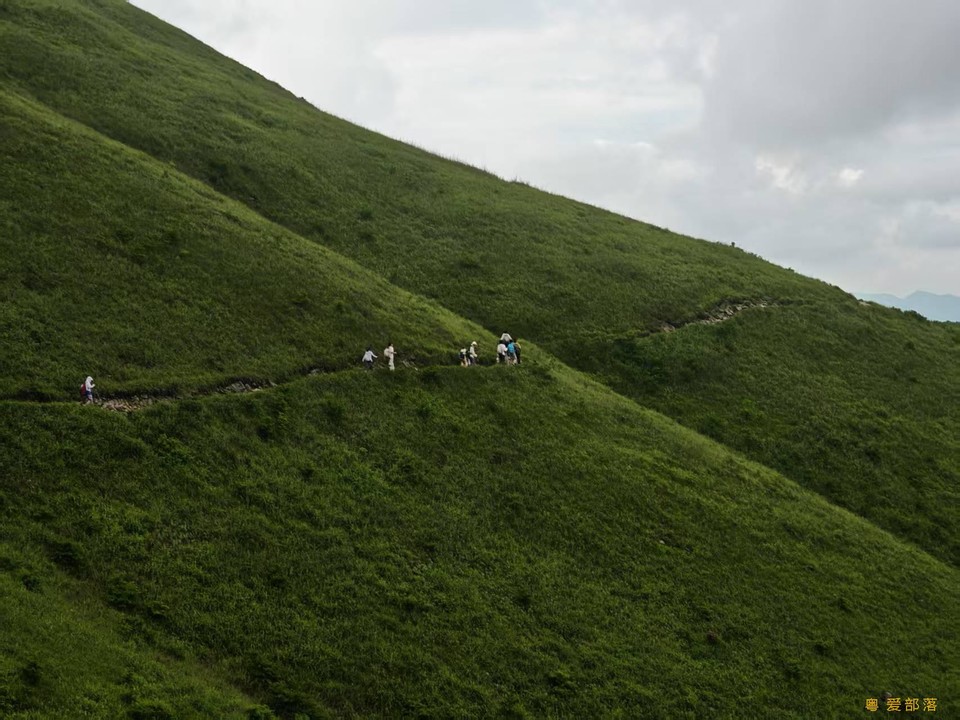 微信图片_20250611105449